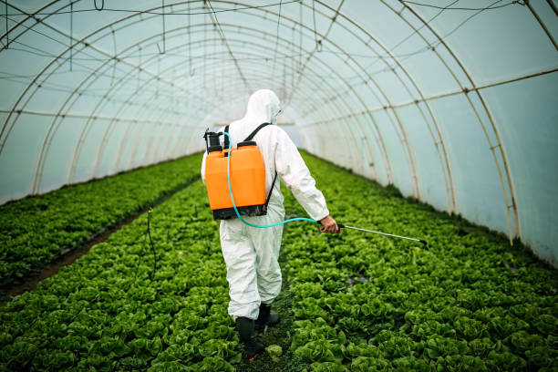 Best Pest Inspection Near Me  in Putney, GA