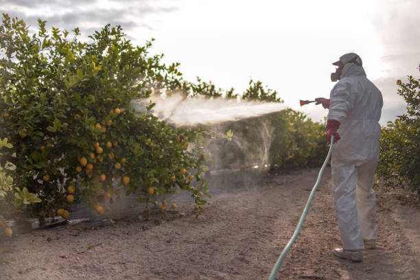 Pest Control for Restaurants in Putney, GA