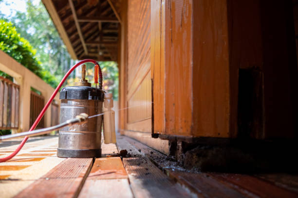 Best Affordable Pest Control Services  in Putney, GA