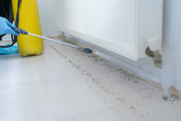 Best Affordable Pest Control Services  in Putney, GA