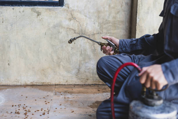 Wasp Removal Services in Putney, GA